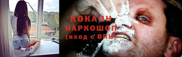 твердый Алексин