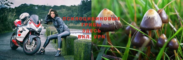 метадон Алексеевка
