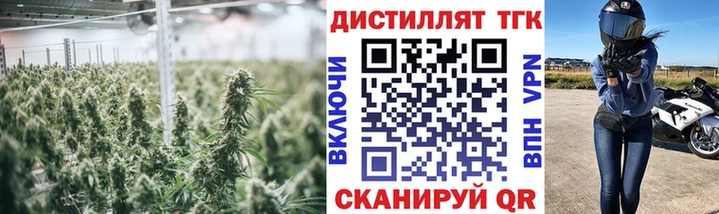 блэк спрут вход  Алупка  Дистиллят ТГК вейп  даркнет сайт 